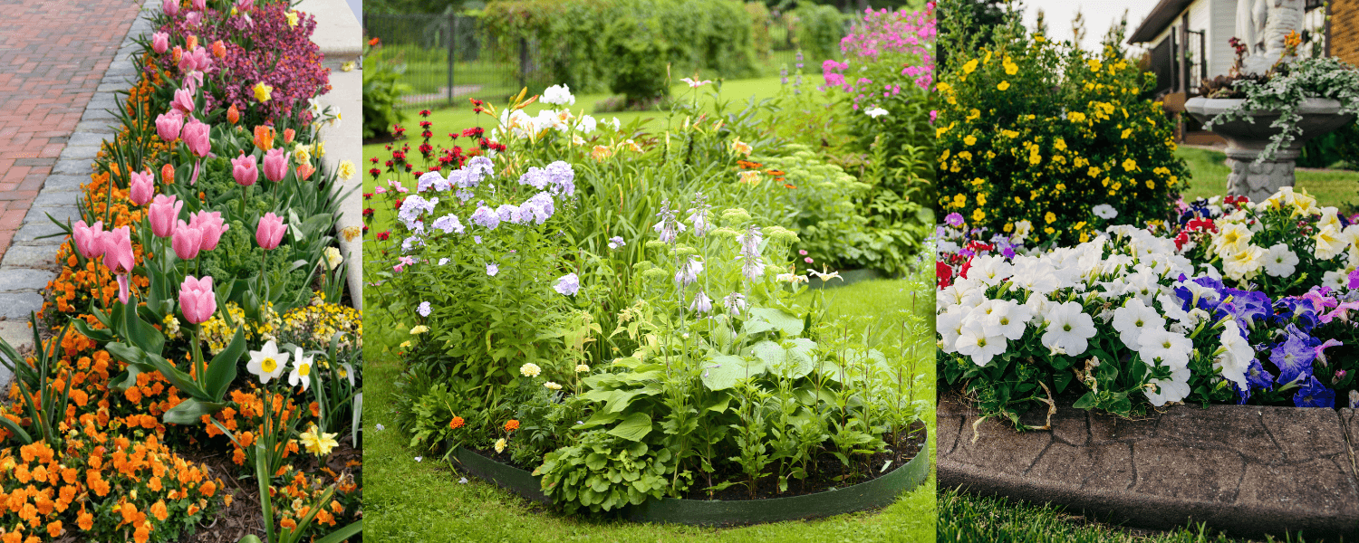 Pestrobarevné květinové záhony jsou snadný způsob, jak oživit zahradu.