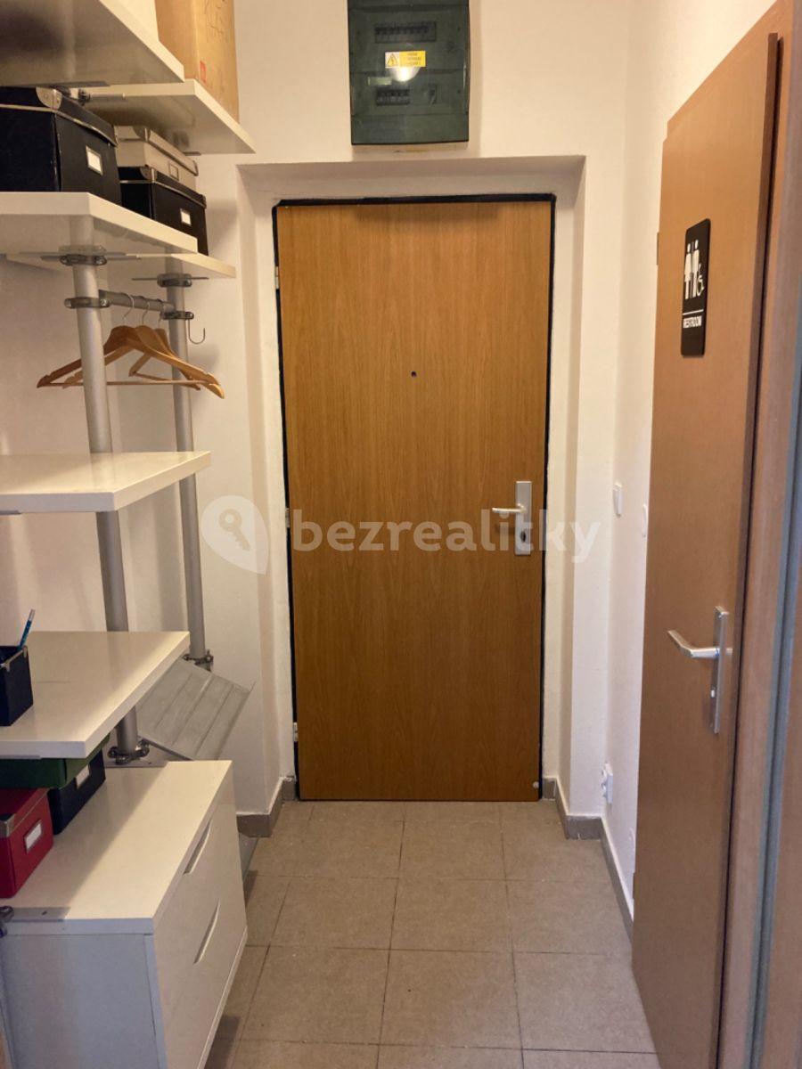 Pronájem bytu 1+kk 30 m², Lukášova, Praha, Praha