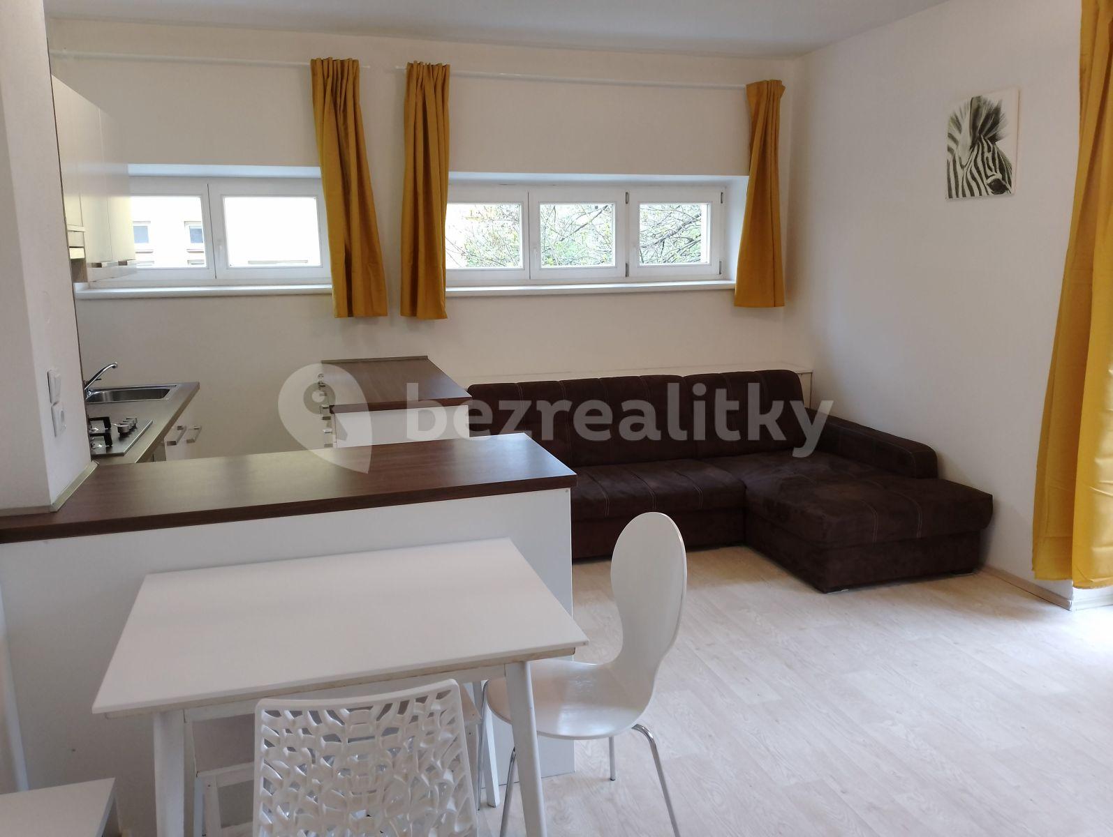 Pronájem bytu 2+kk 45 m², Renneská třída, Brno, Jihomoravský kraj