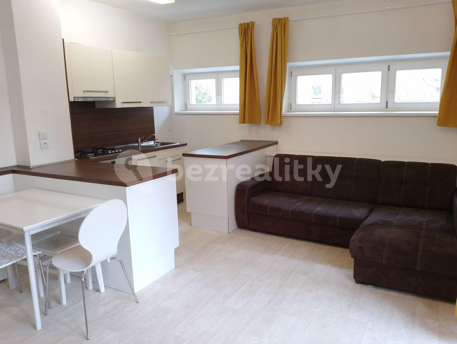 Pronájem bytu 2+kk 45 m², Renneská třída, Brno, Jihomoravský kraj