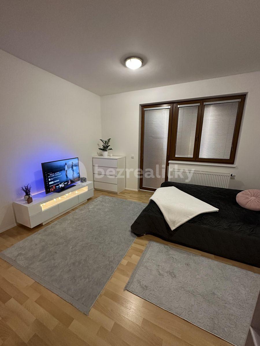 Pronájem bytu 1+kk 32 m², Zemské právo, Praha, Praha