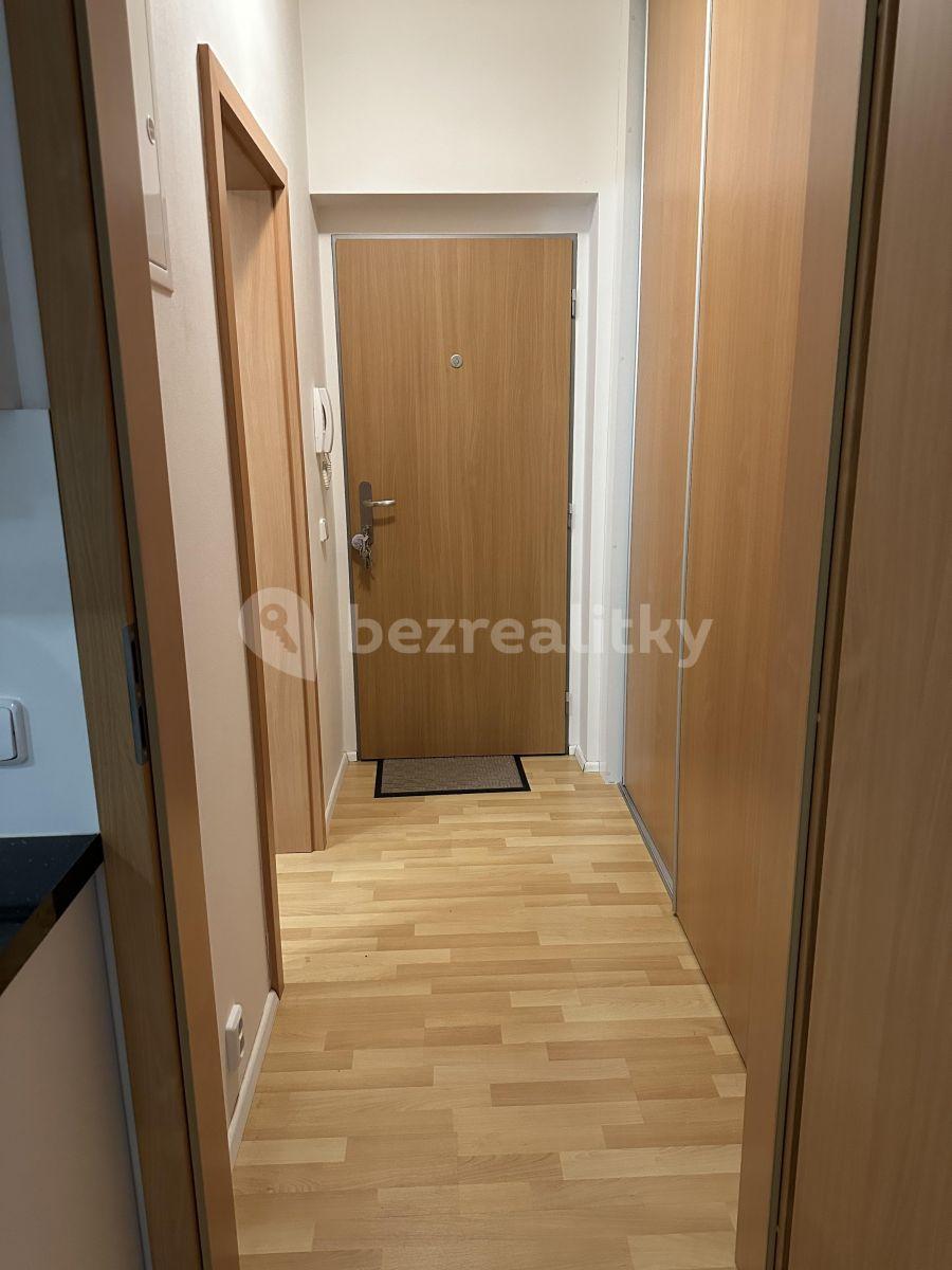 Pronájem bytu 1+kk 32 m², Zemské právo, Praha, Praha