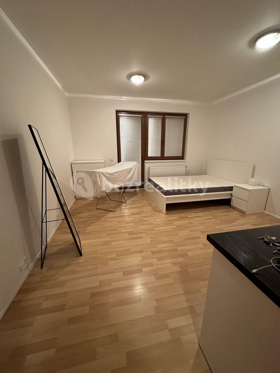 Pronájem bytu 1+kk 32 m², Zemské právo, Praha, Praha