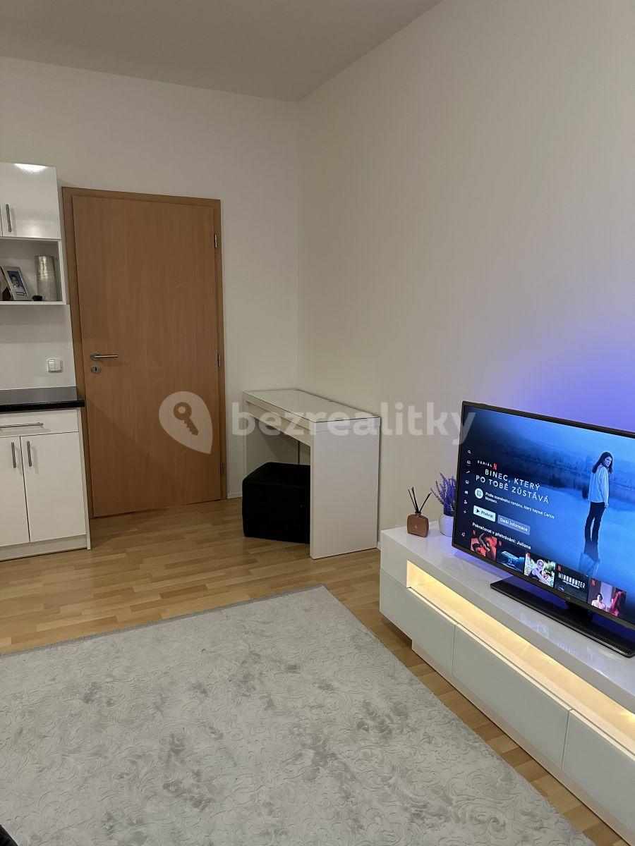 Pronájem bytu 1+kk 32 m², Zemské právo, Praha, Praha