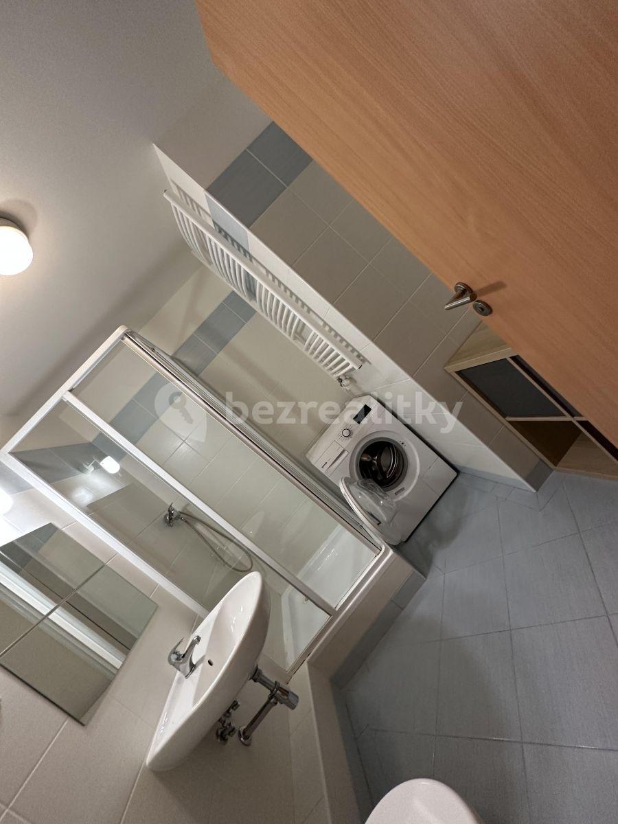 Pronájem bytu 1+kk 32 m², Zemské právo, Praha, Praha