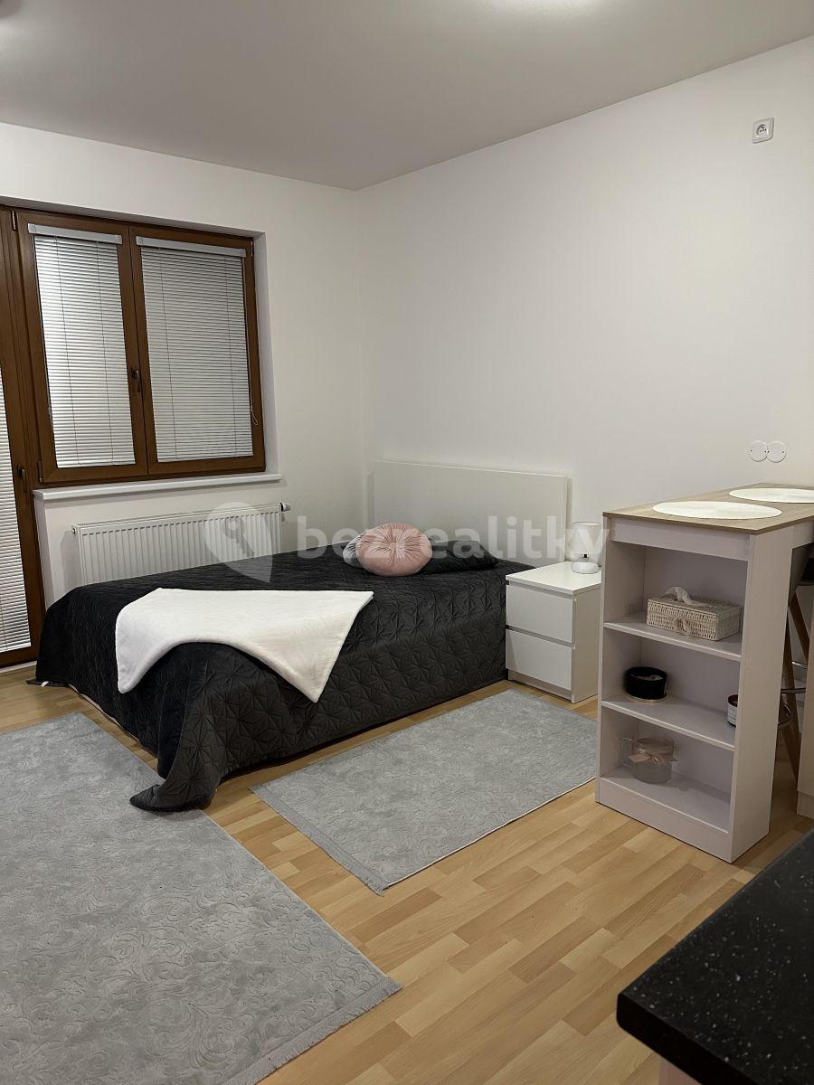 Pronájem bytu 1+kk 32 m², Zemské právo, Praha, Praha