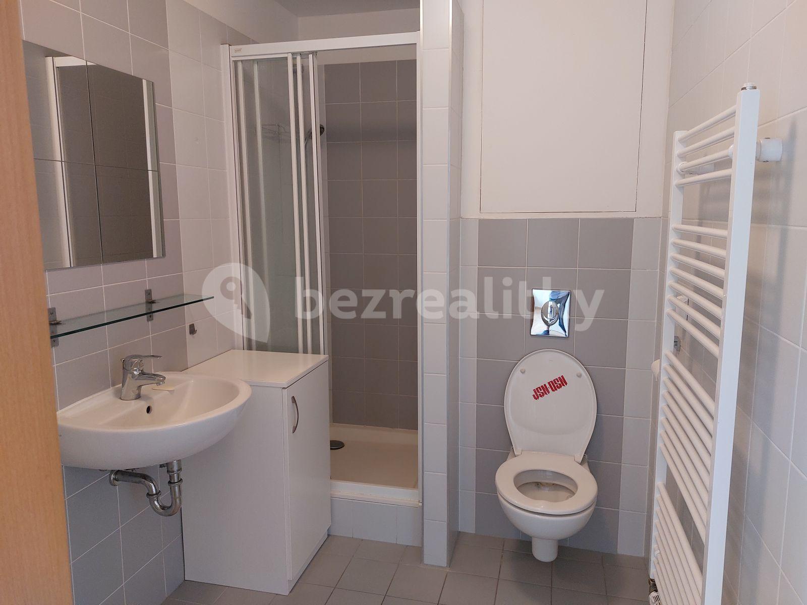 Pronájem bytu 1+kk 33 m², U Leskavy, Brno, Jihomoravský kraj