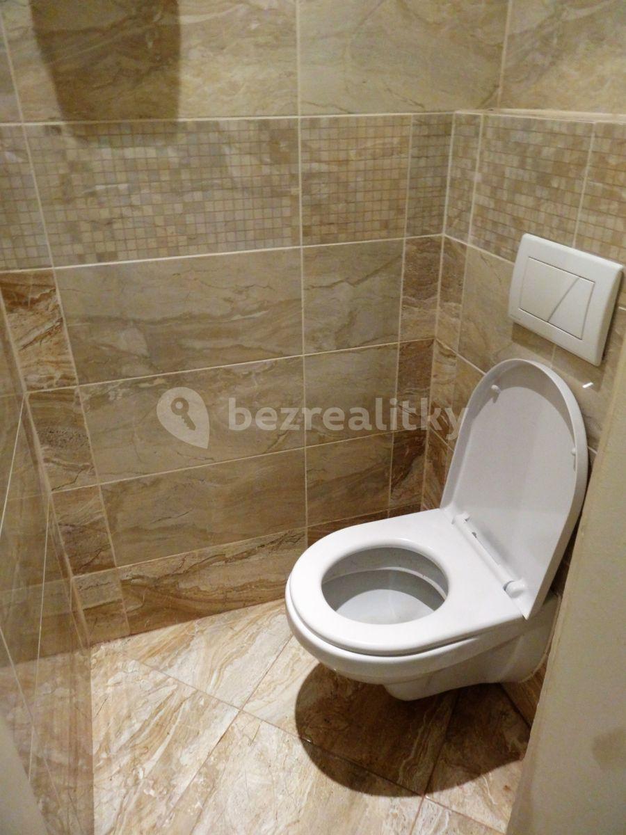 Pronájem bytu 2+1 57 m², U Klavírky, Praha, Praha