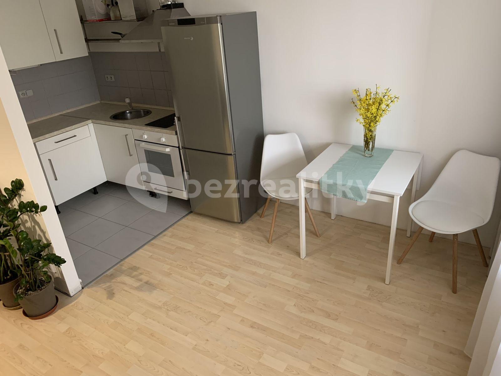 Pronájem bytu 1+kk 40 m², U Leskavy, Brno, Jihomoravský kraj