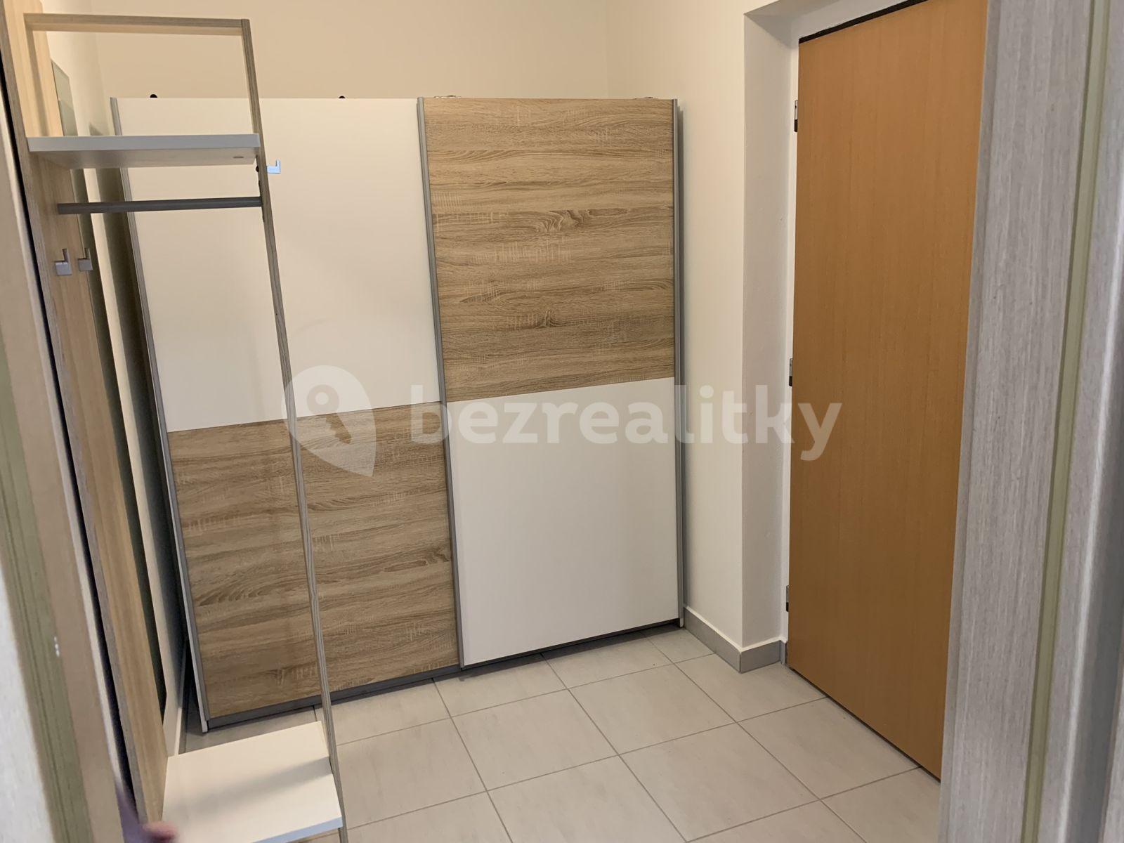 Pronájem bytu 1+kk 40 m², U Leskavy, Brno, Jihomoravský kraj