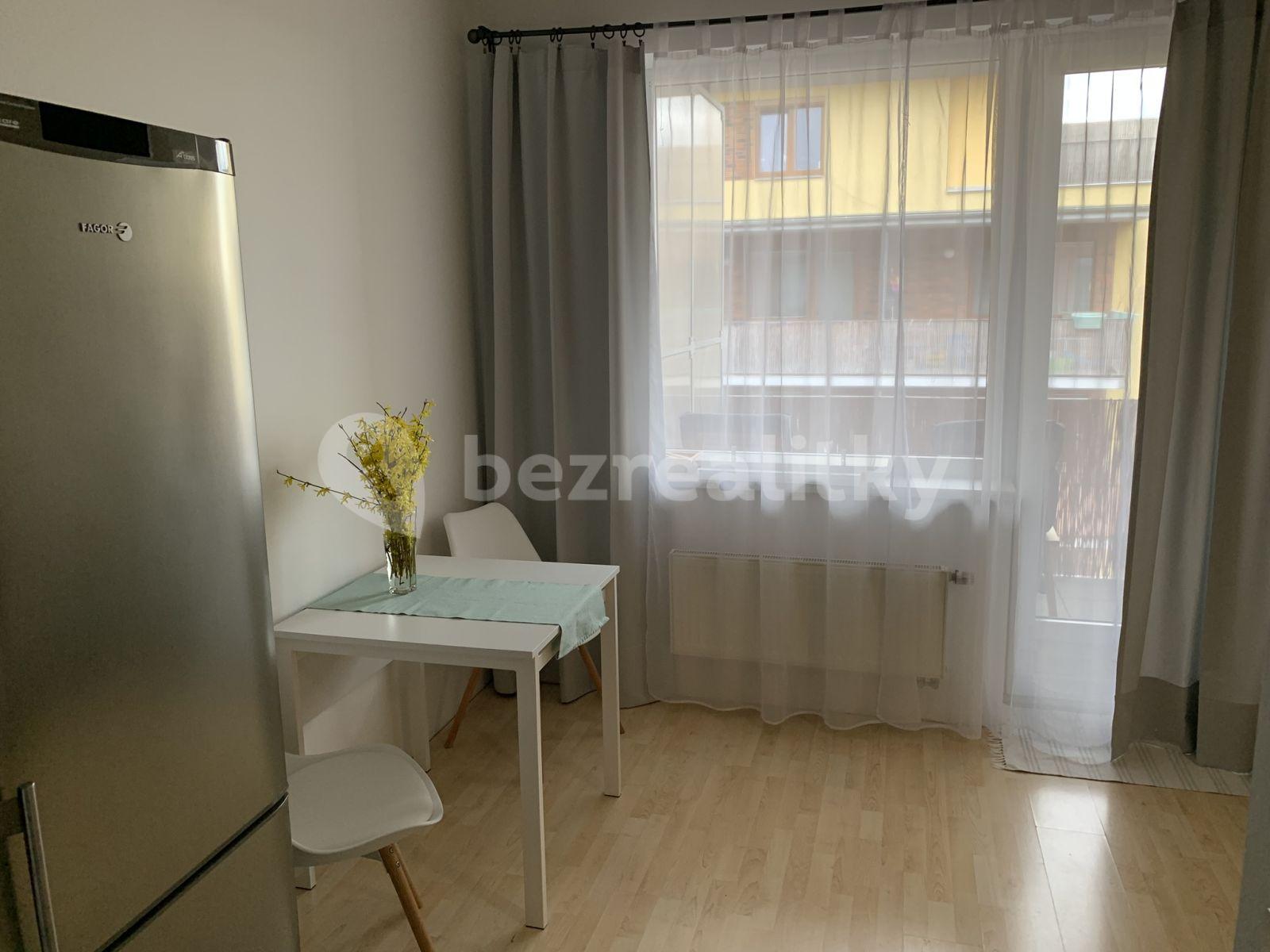 Pronájem bytu 1+kk 40 m², U Leskavy, Brno, Jihomoravský kraj