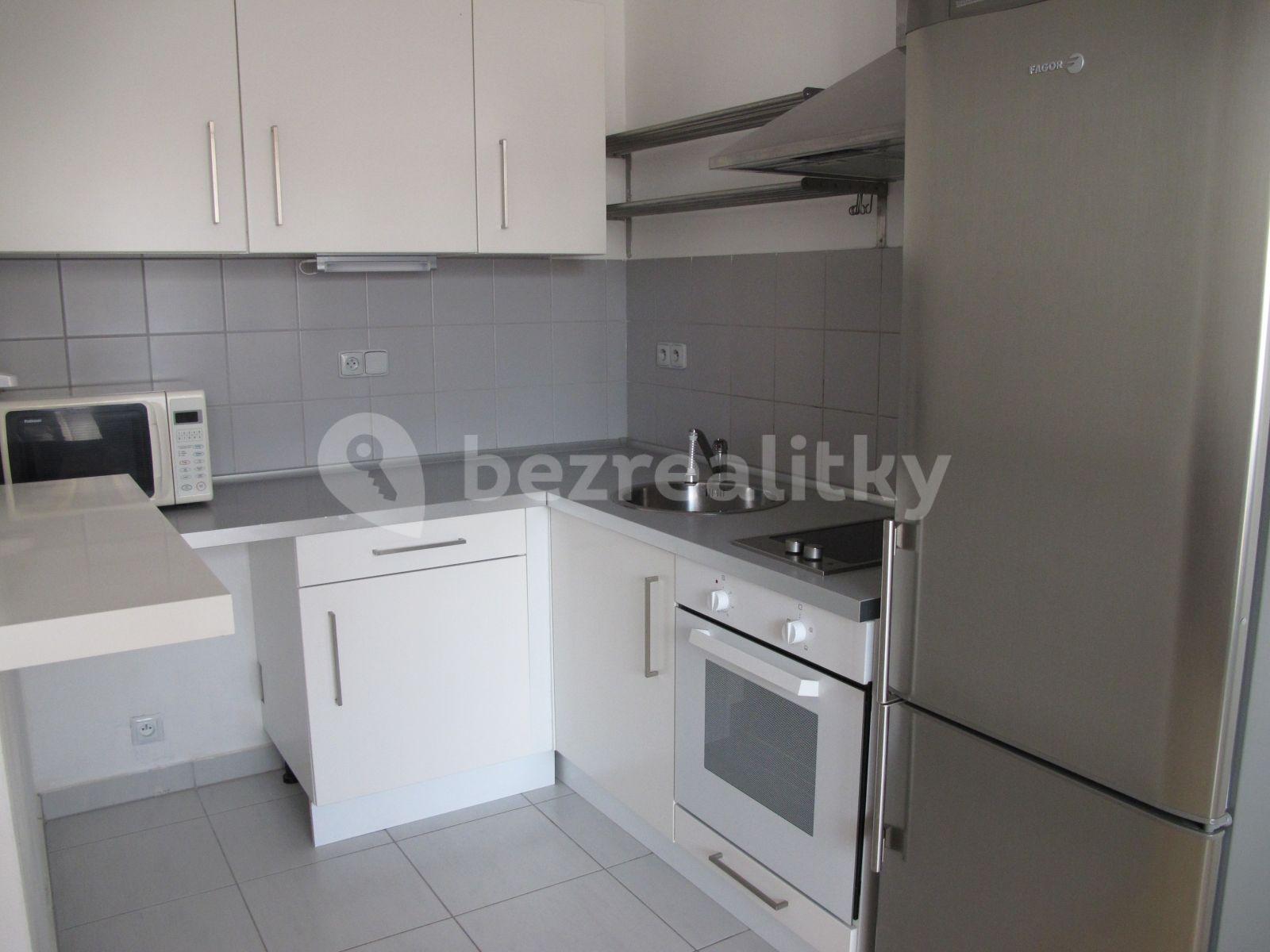 Pronájem bytu 1+kk 40 m², U Leskavy, Brno, Jihomoravský kraj