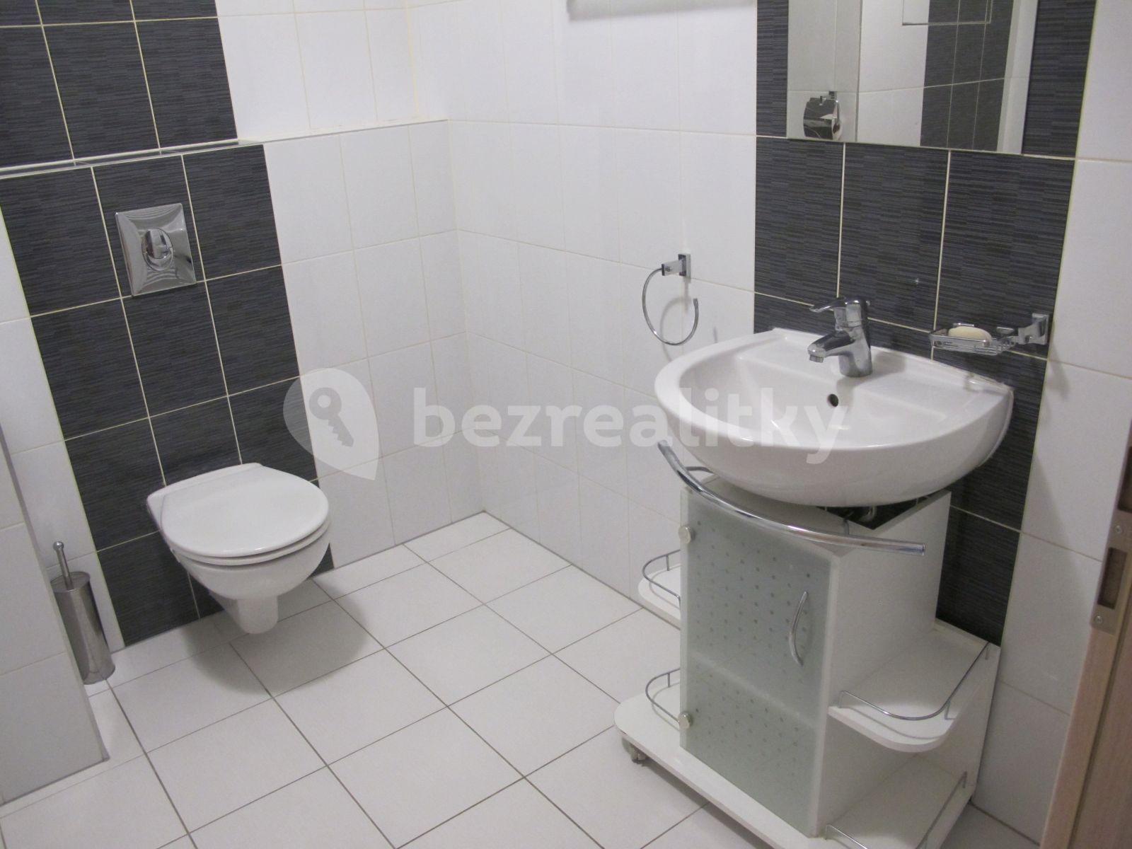 Pronájem bytu 1+kk 40 m², U Leskavy, Brno, Jihomoravský kraj