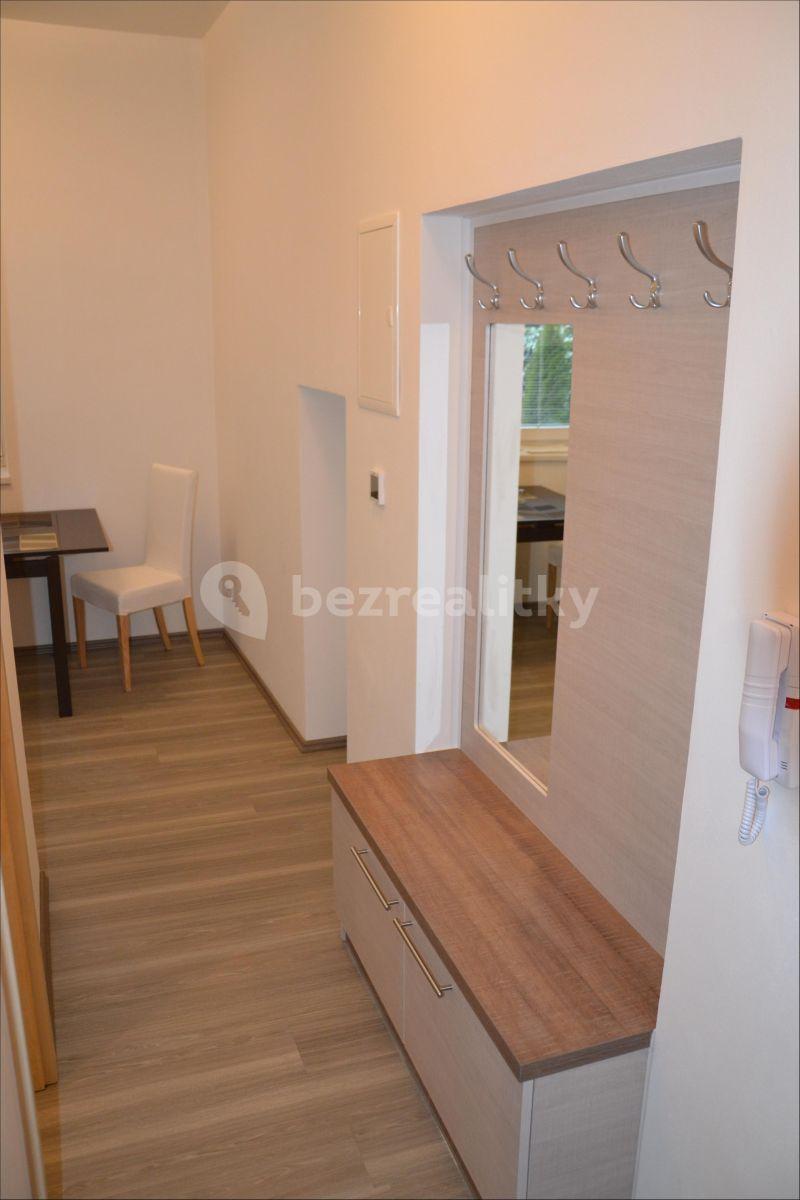 Pronájem bytu 1+1 30 m², Florianova, Brno, Jihomoravský kraj