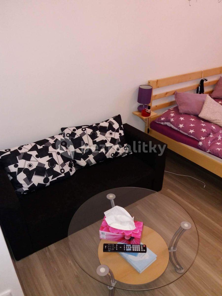 Pronájem bytu 1+1 30 m², Florianova, Brno, Jihomoravský kraj