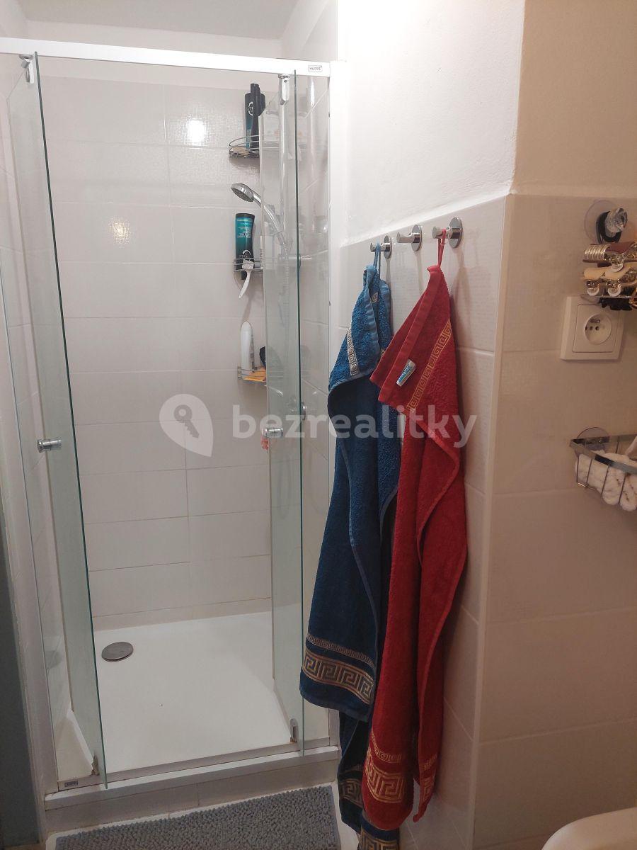 Pronájem bytu 2+kk 55 m², Dlouhé hony, Brno, Jihomoravský kraj