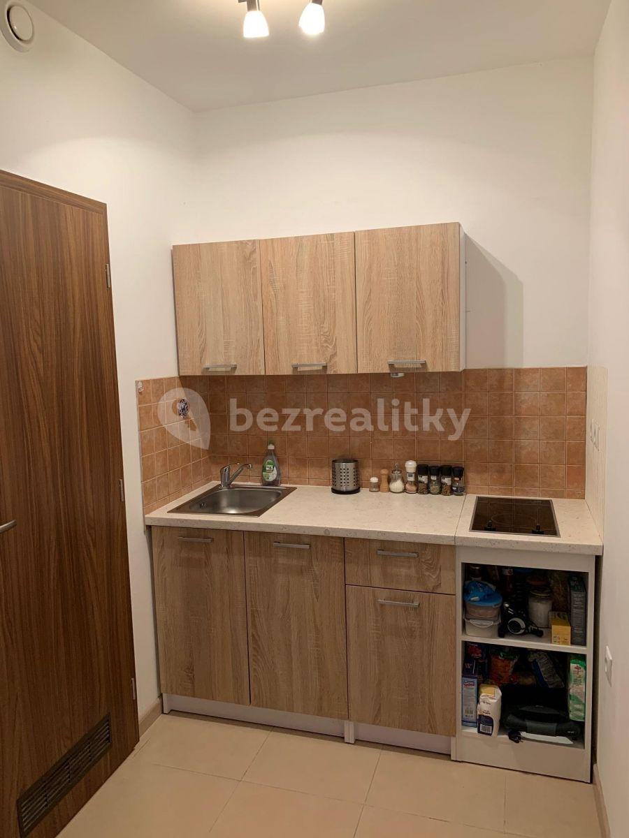 Pronájem bytu 1+1 33 m², Polní, Zdiby, Středočeský kraj