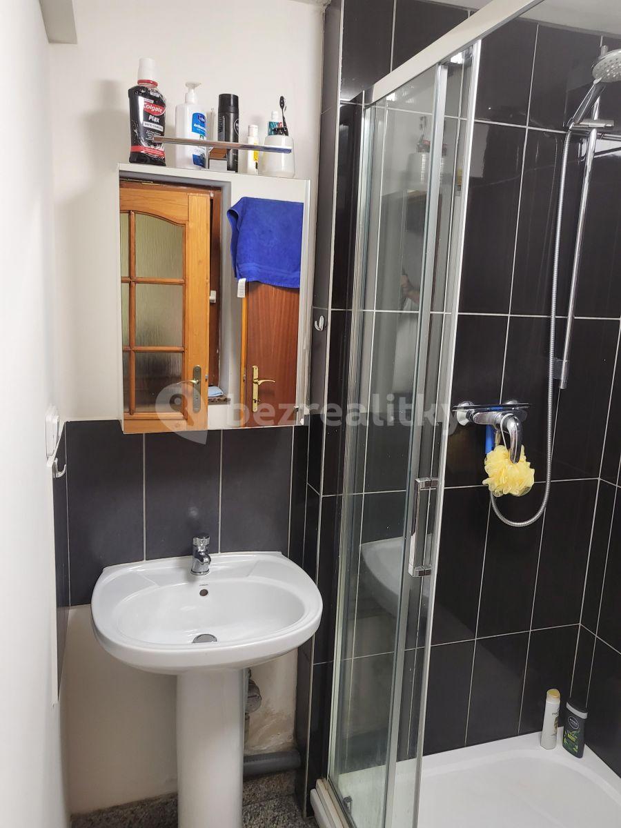 Pronájem bytu 1+1 45 m², Říčany, Středočeský kraj