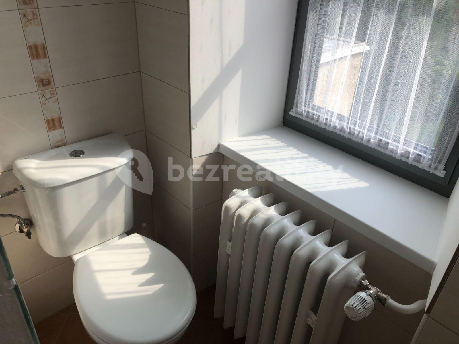 Pronájem bytu 1+kk 25 m², Eliášova, Brno, Jihomoravský kraj