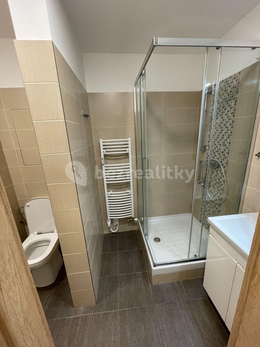 Pronájem bytu 2+1 57 m², Družstevní ochoz, Praha, Praha