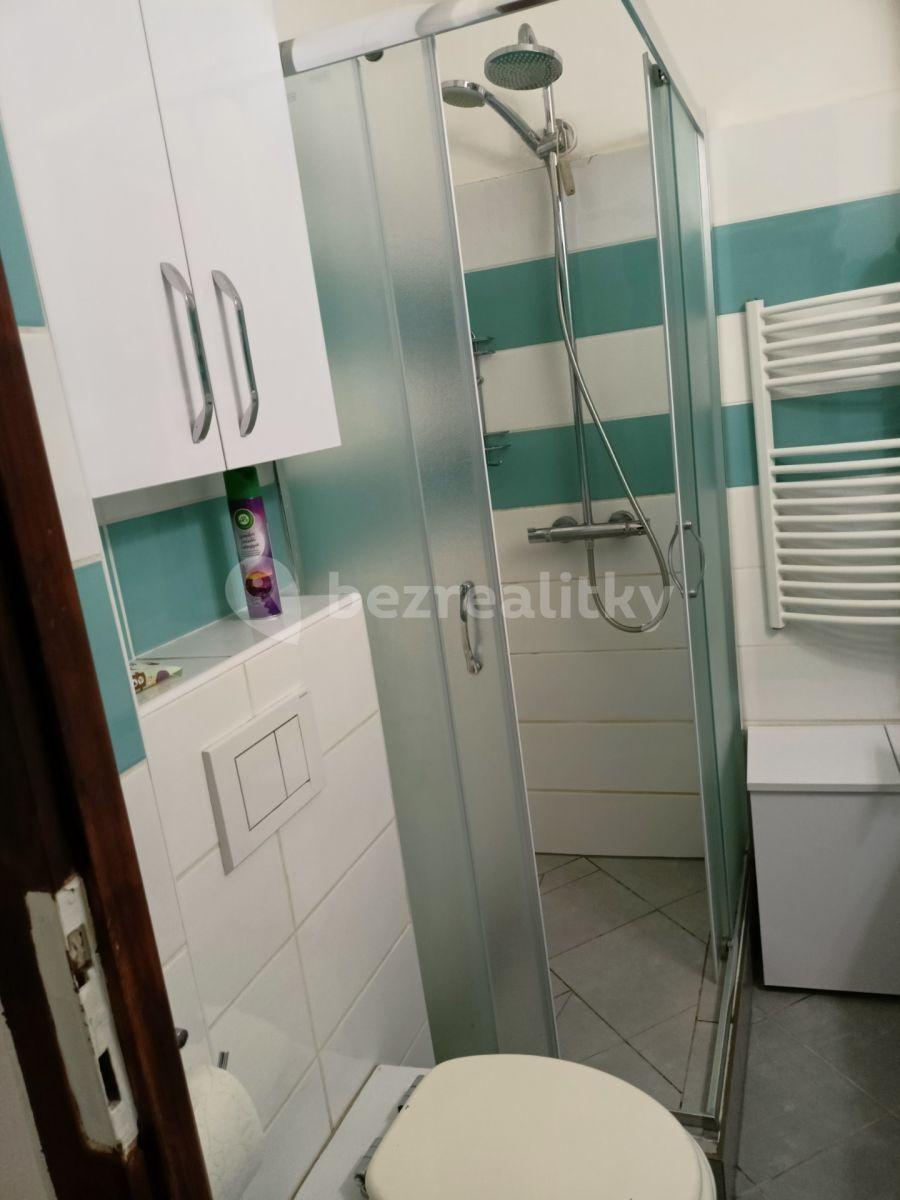 Pronájem bytu 2+1 47 m², Spolupráce, Praha, Praha