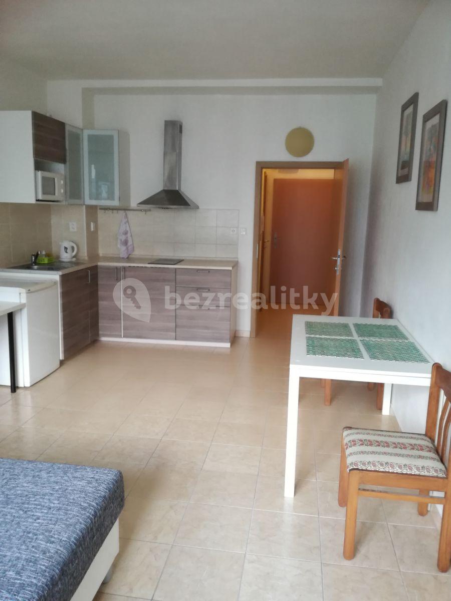 Pronájem bytu 1+kk 28 m², Jankovcova, Praha, Praha