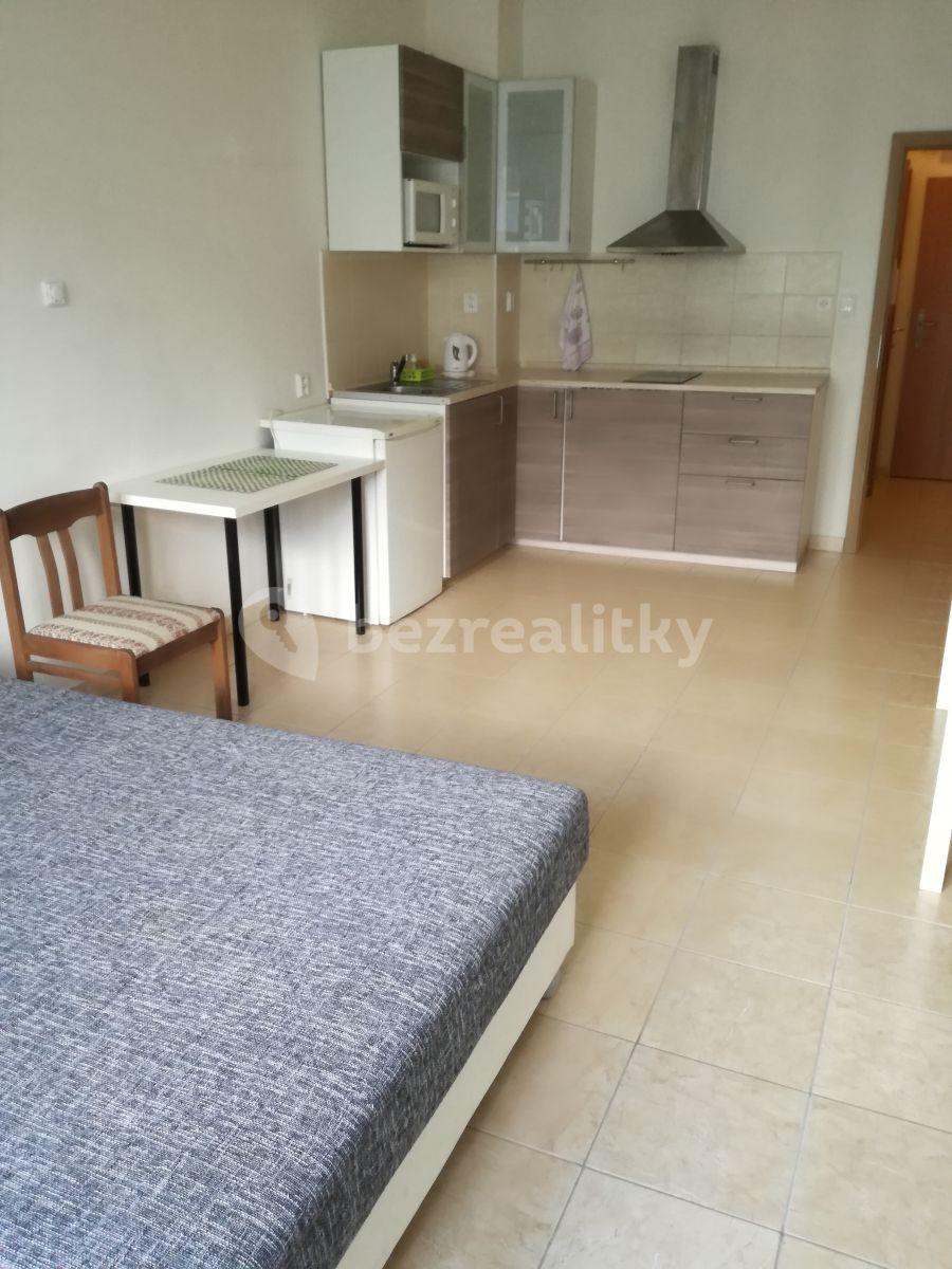 Pronájem bytu 1+kk 28 m², Jankovcova, Praha, Praha