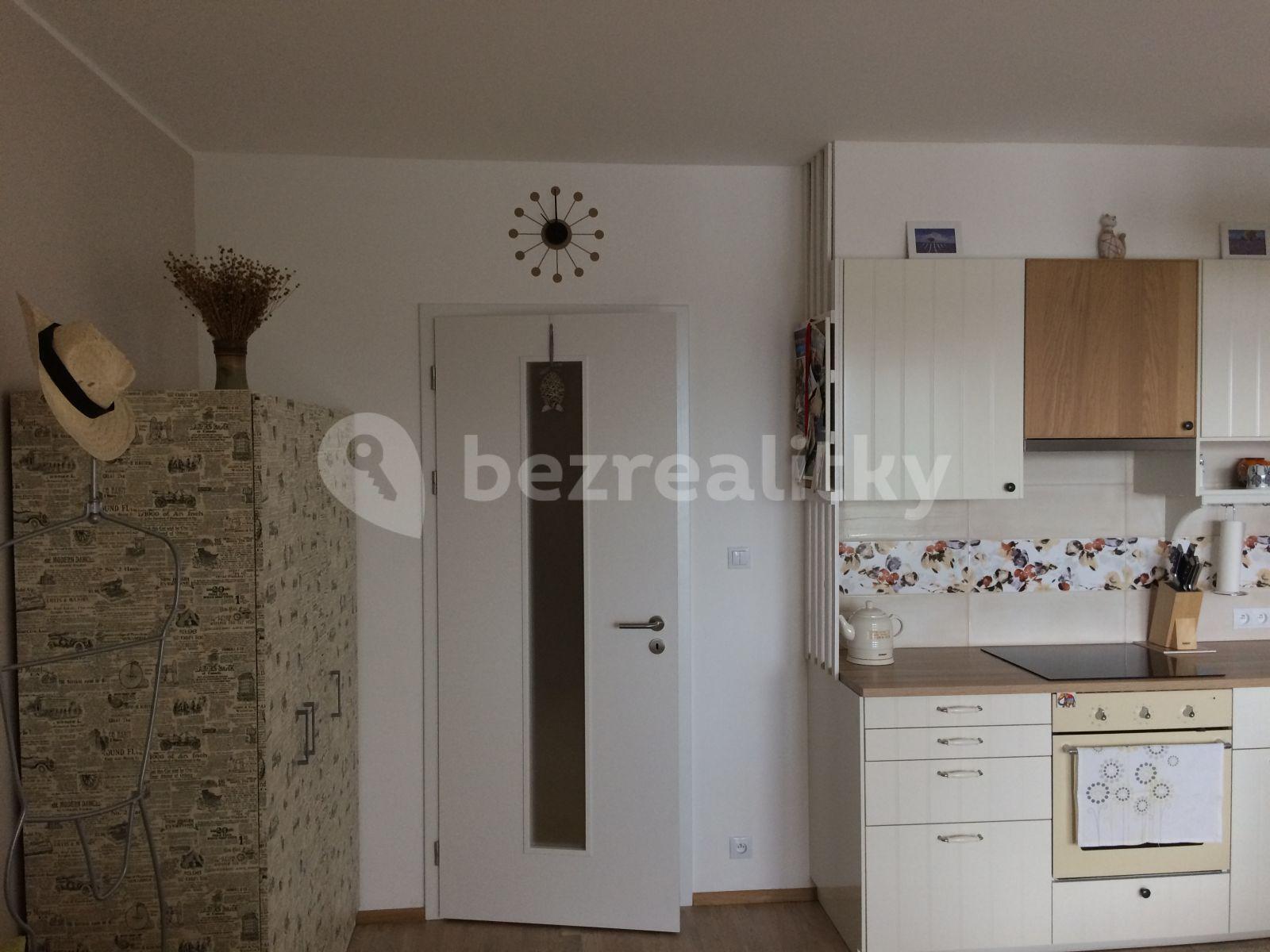 Pronájem bytu 1+kk 34 m², Plzeňská, Praha, Praha