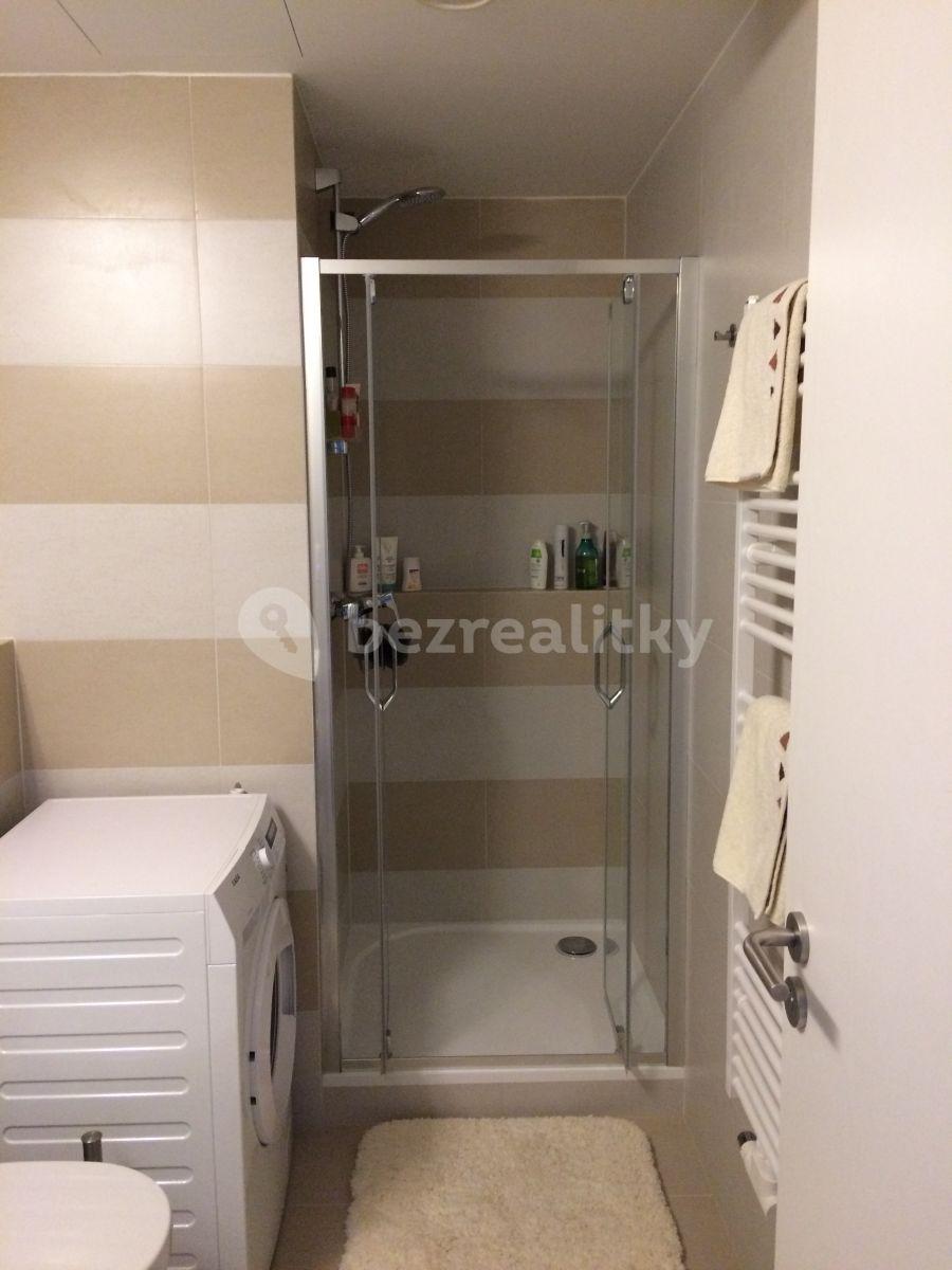 Pronájem bytu 1+kk 34 m², Plzeňská, Praha, Praha