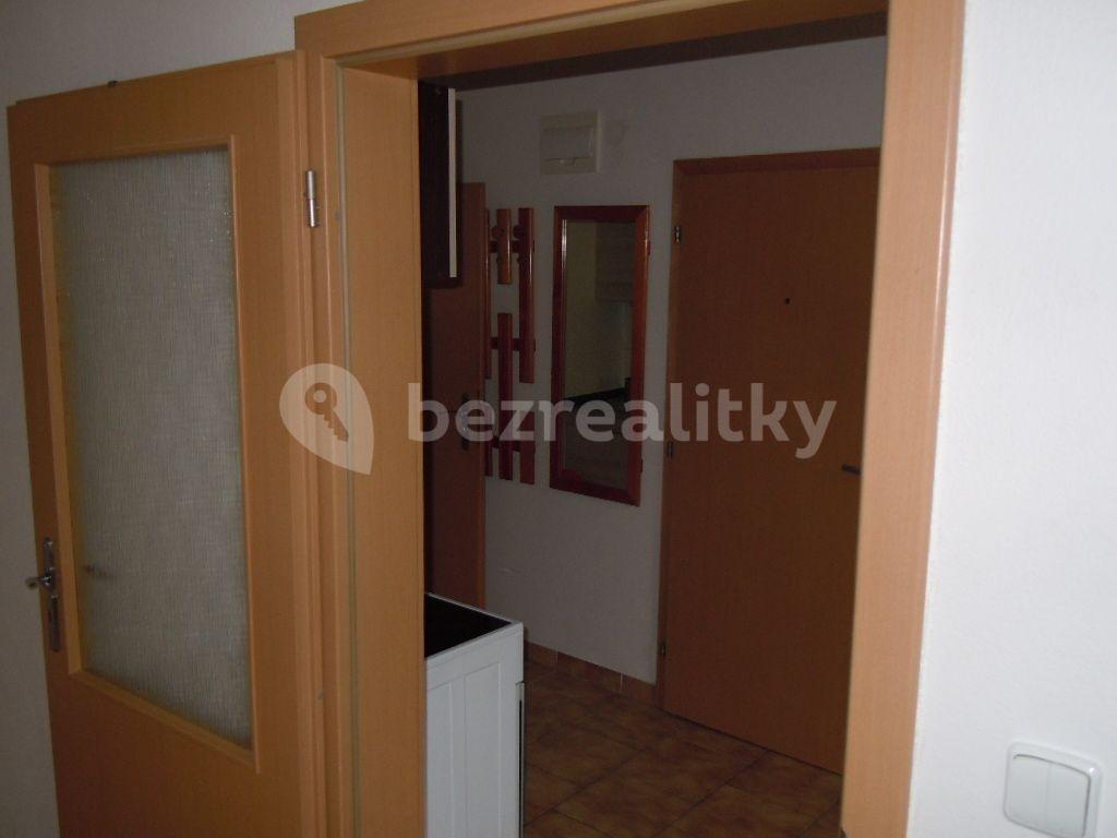 Pronájem bytu 1+kk 28 m², Zemědělská, Brno, Jihomoravský kraj