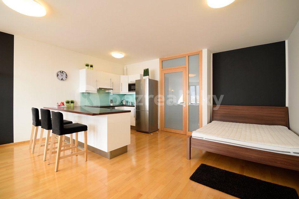 Pronájem bytu 1+kk 48 m², Litoměřická, Praha, Praha