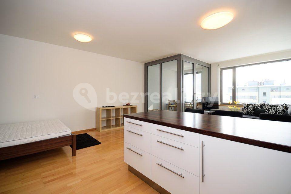 Pronájem bytu 1+kk 48 m², Litoměřická, Praha, Praha