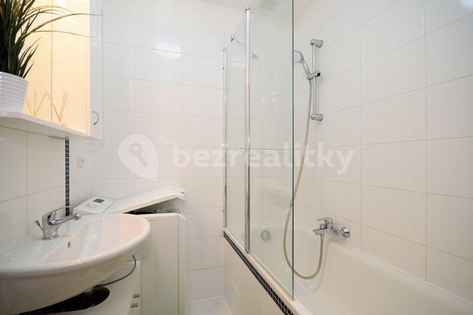 Pronájem bytu 1+kk 48 m², Litoměřická, Praha, Praha