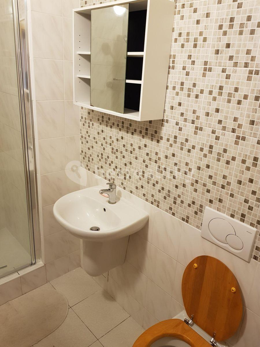 Pronájem bytu 1+kk 30 m², Braunerova, Praha, Praha