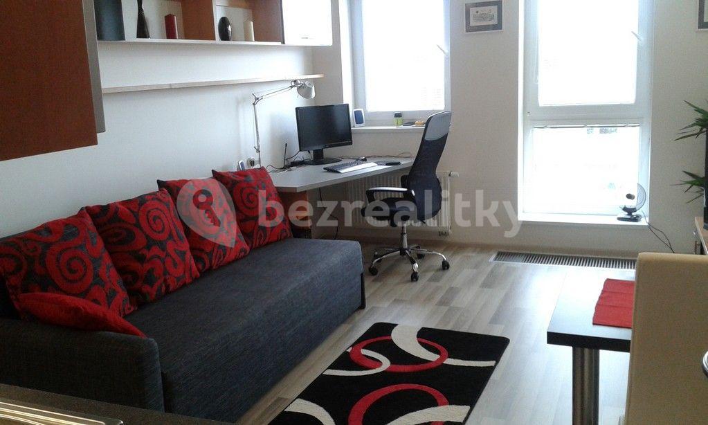 Pronájem bytu 1+kk 30 m², U Slovanky, Praha, Praha