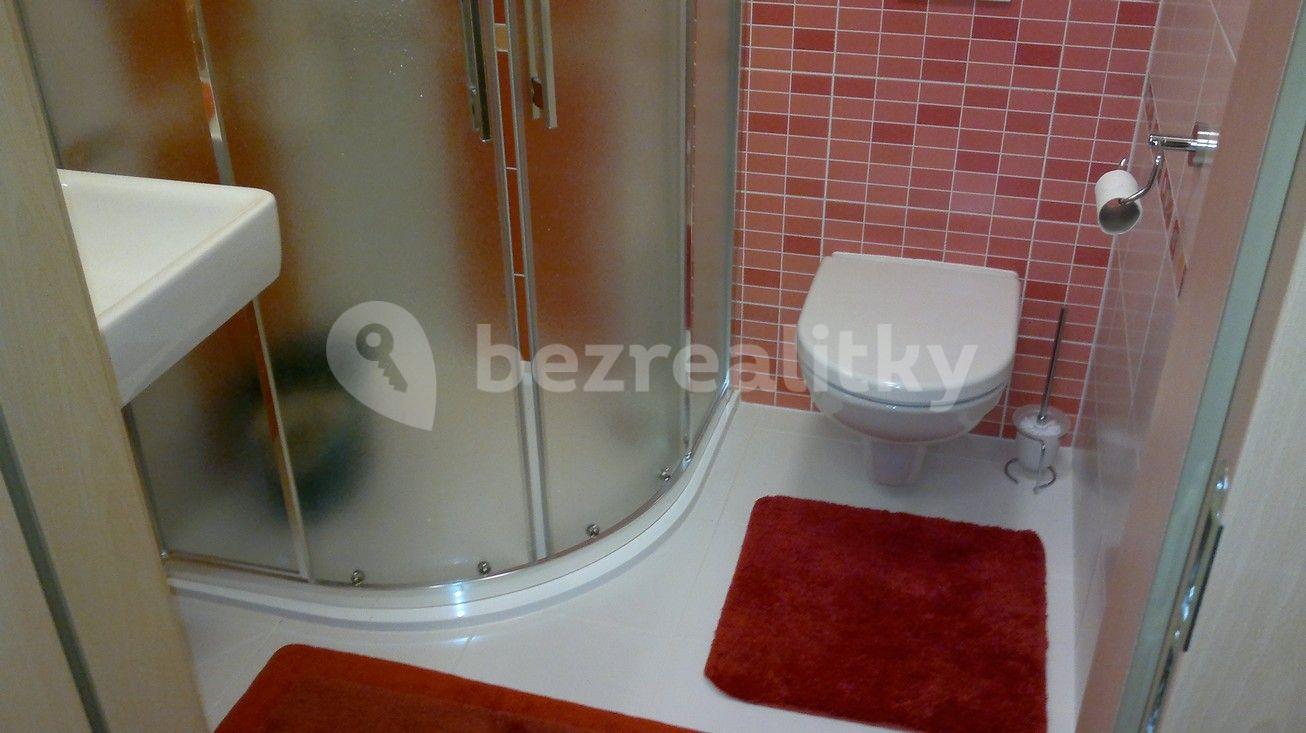 Pronájem bytu 1+kk 30 m², U Slovanky, Praha, Praha