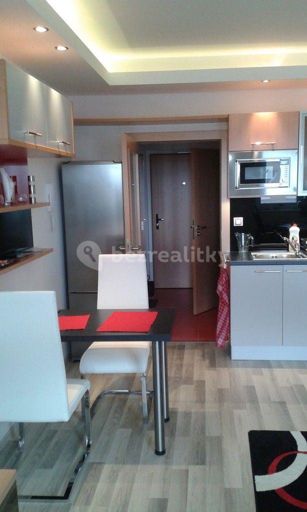 Pronájem bytu 1+kk 30 m², U Slovanky, Praha, Praha