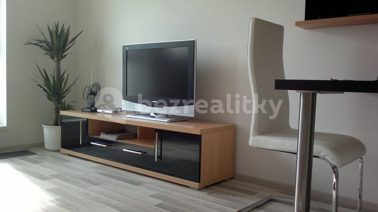 Pronájem bytu 1+kk 30 m², U Slovanky, Praha, Praha