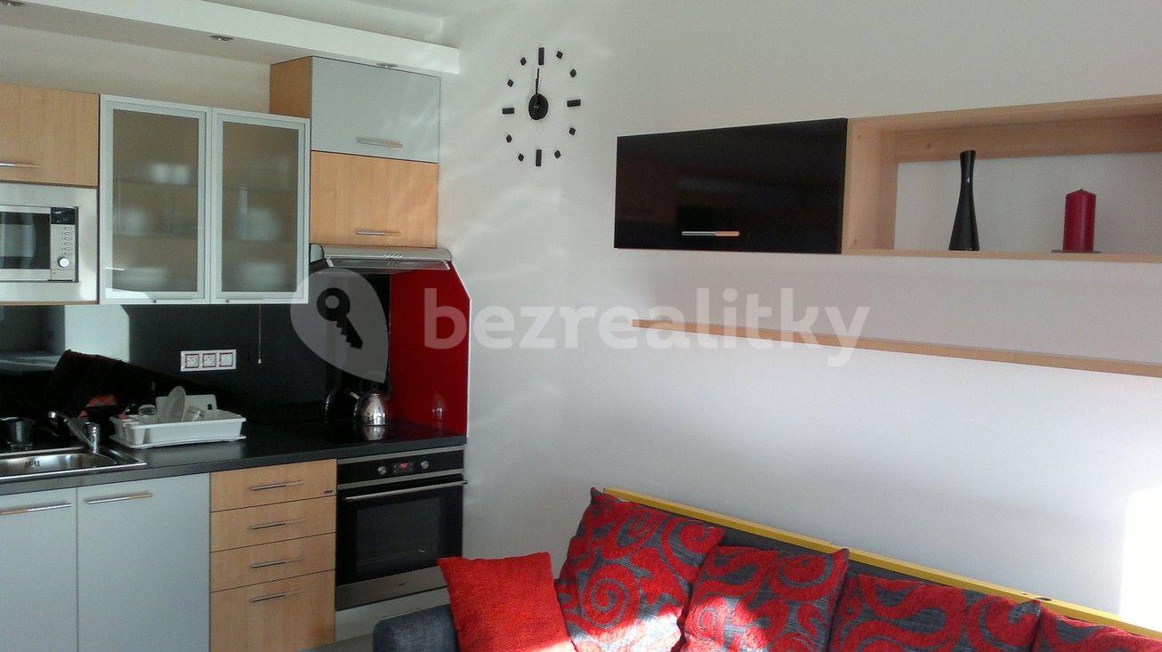 Pronájem bytu 1+kk 30 m², U Slovanky, Praha, Praha