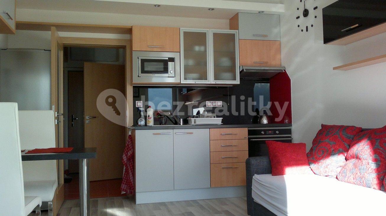 Pronájem bytu 1+kk 30 m², U Slovanky, Praha, Praha