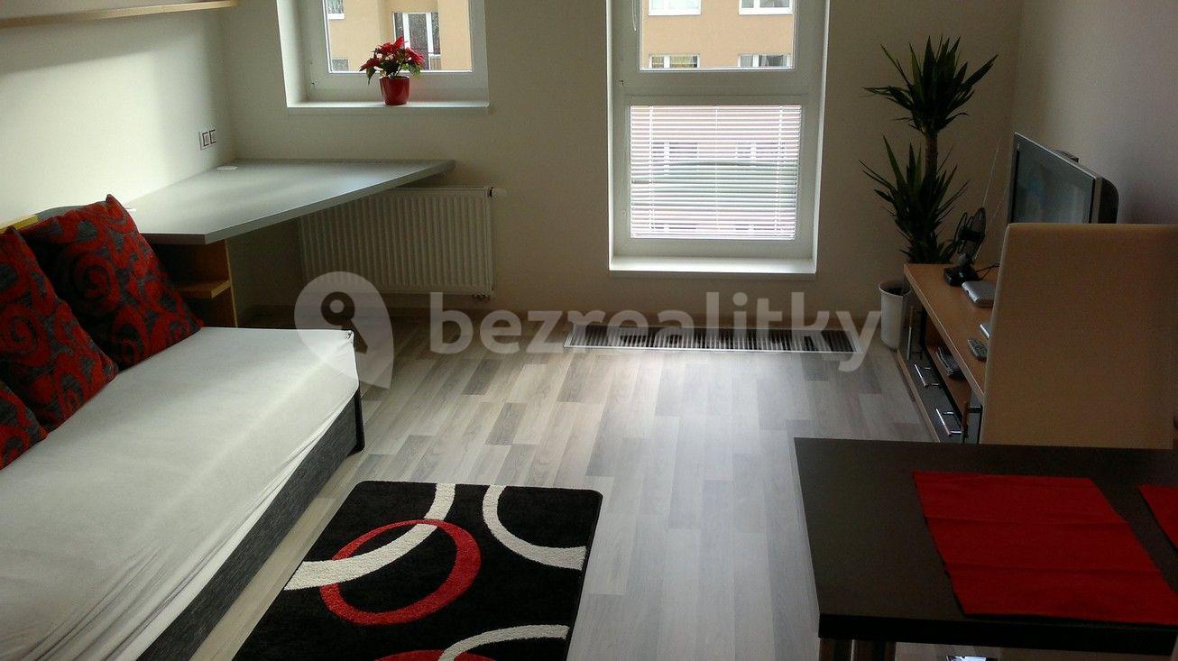 Pronájem bytu 1+kk 30 m², U Slovanky, Praha, Praha