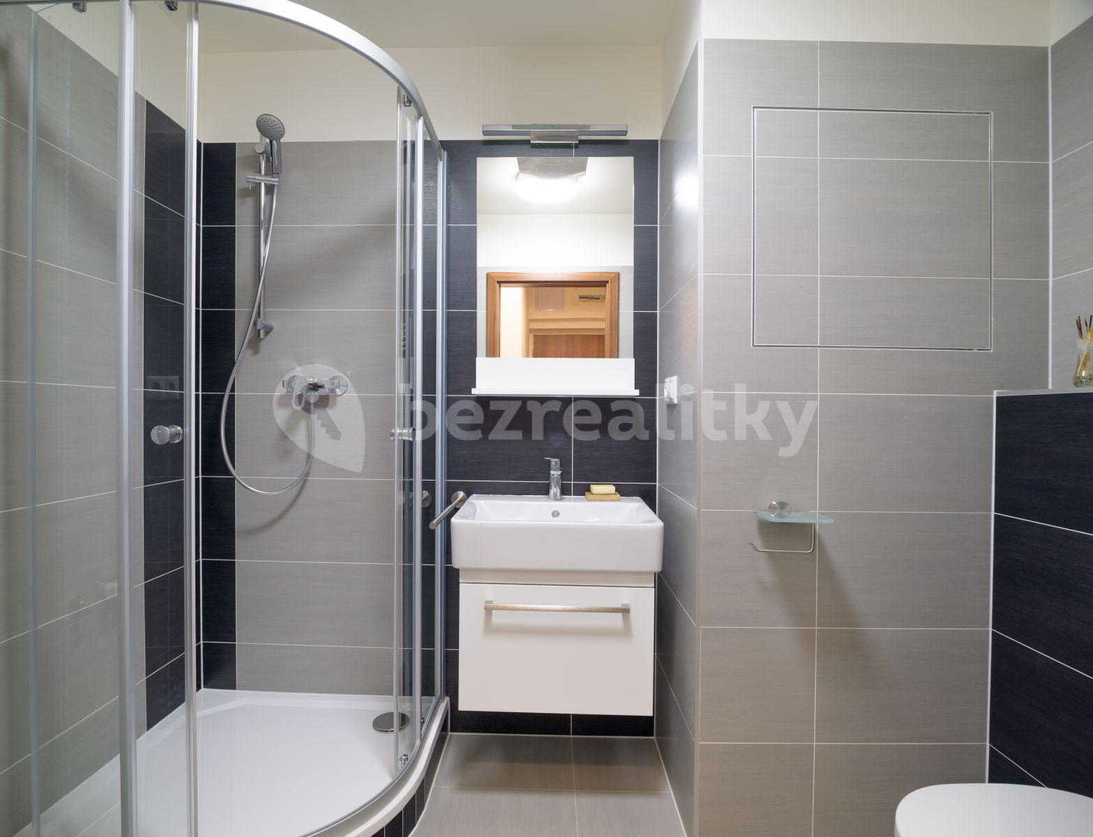 Pronájem bytu 1+kk 29 m², Rumiště, Brno, Jihomoravský kraj