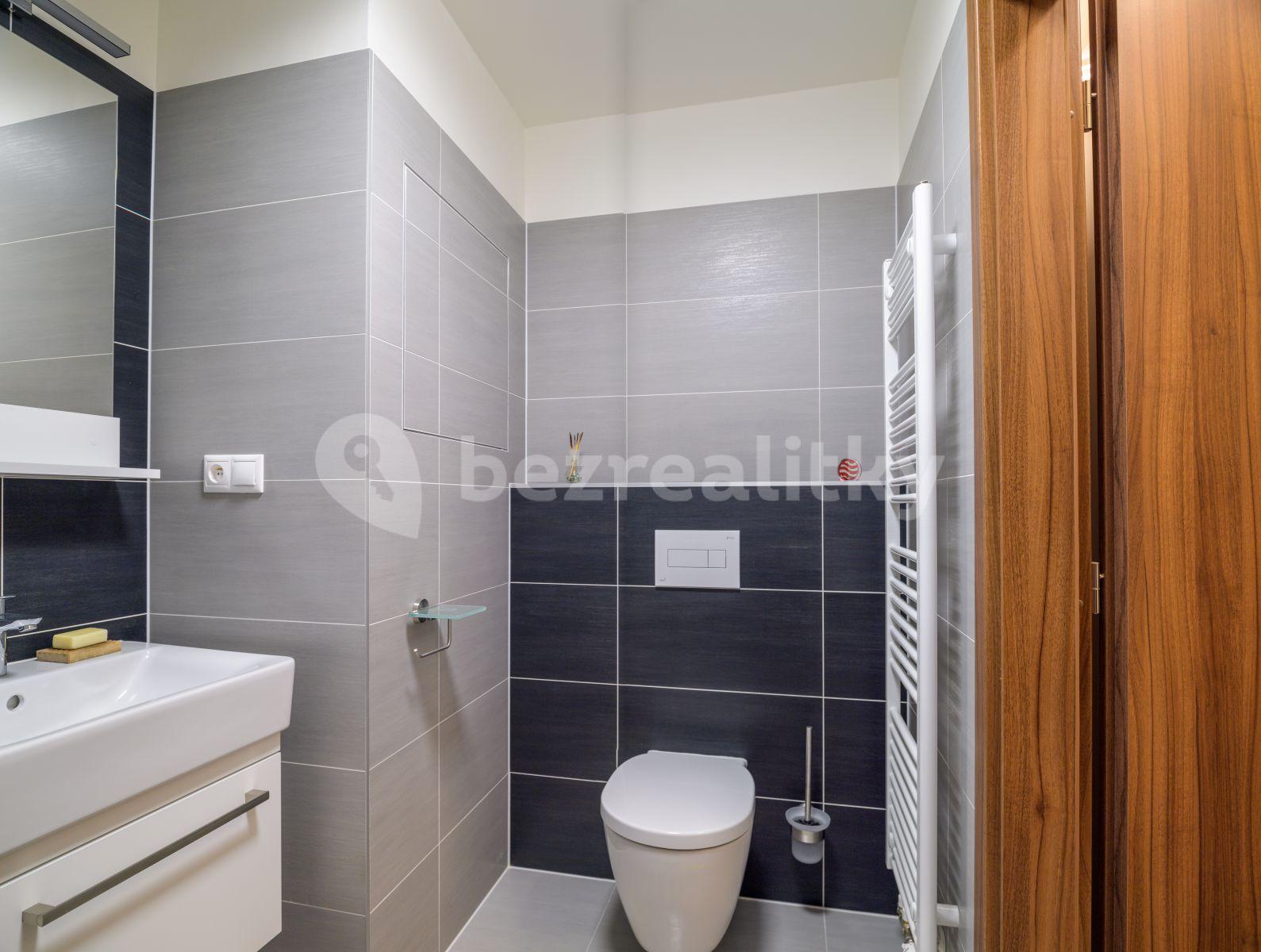 Pronájem bytu 1+kk 29 m², Rumiště, Brno, Jihomoravský kraj