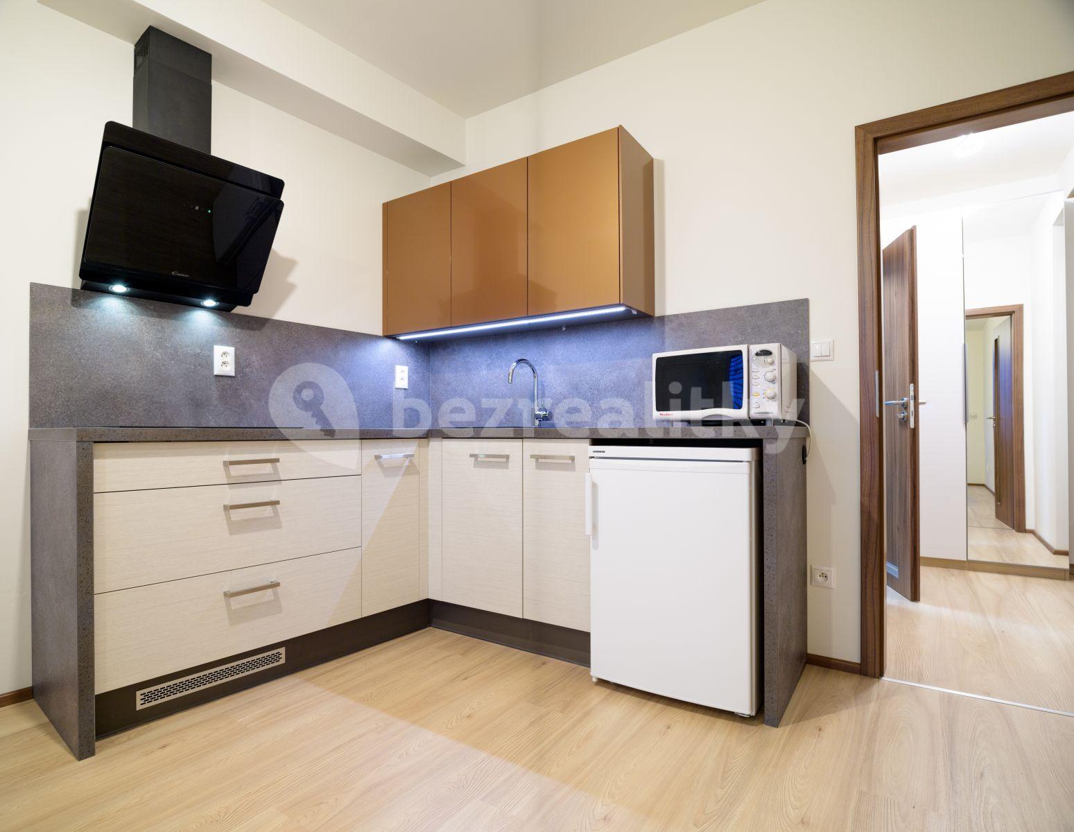 Pronájem bytu 1+kk 29 m², Rumiště, Brno, Jihomoravský kraj