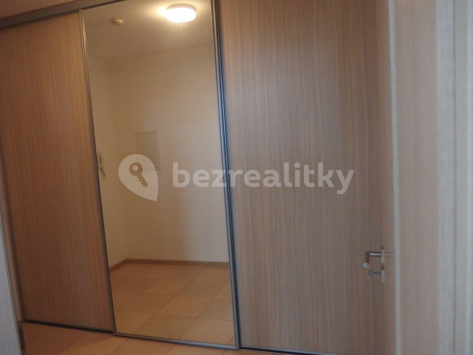 Pronájem bytu 1+kk 45 m², A. Trägera, České Budějovice, Jihočeský kraj