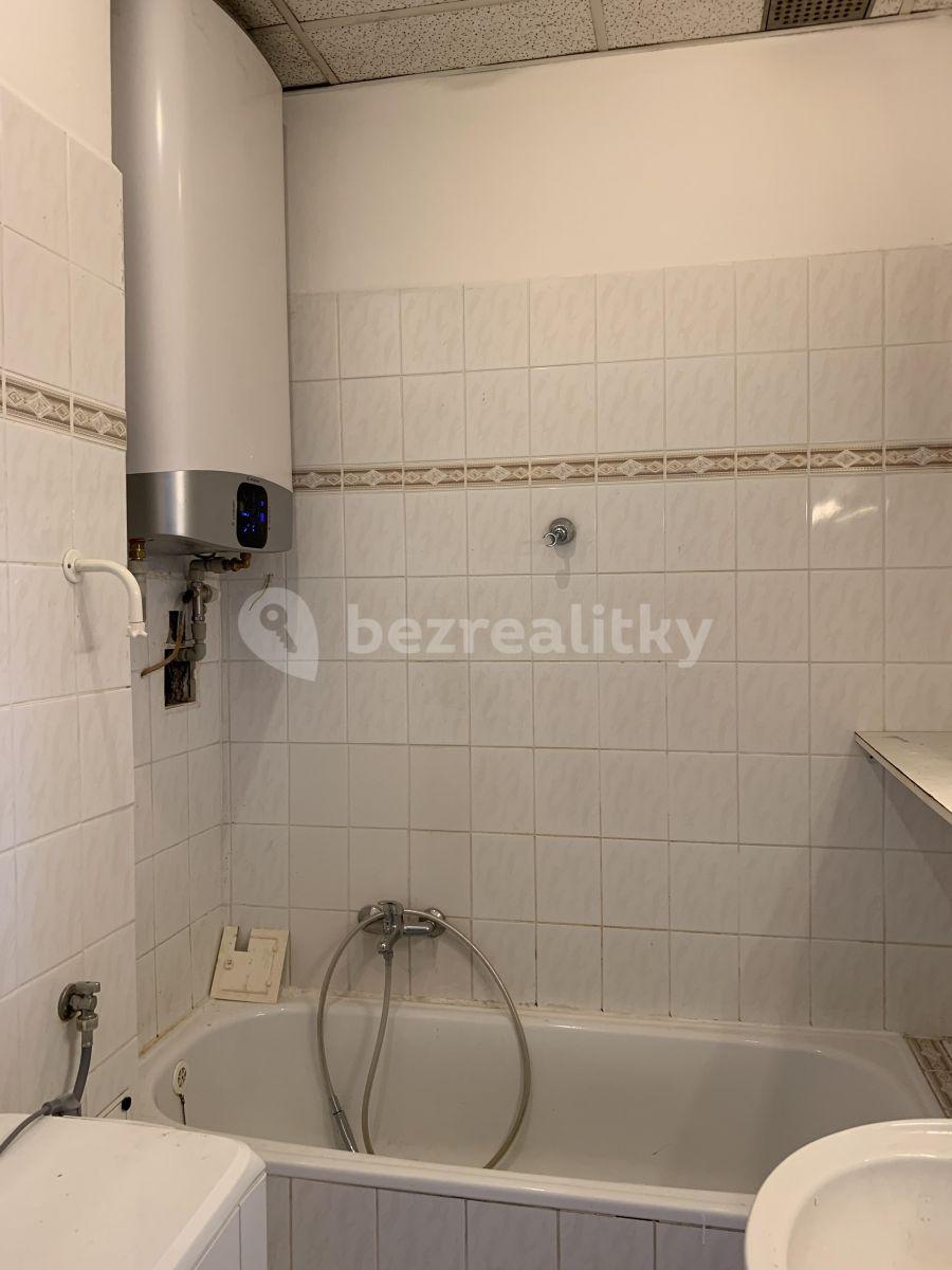 Pronájem bytu 1+1 39 m², Sdružení, Praha, Praha