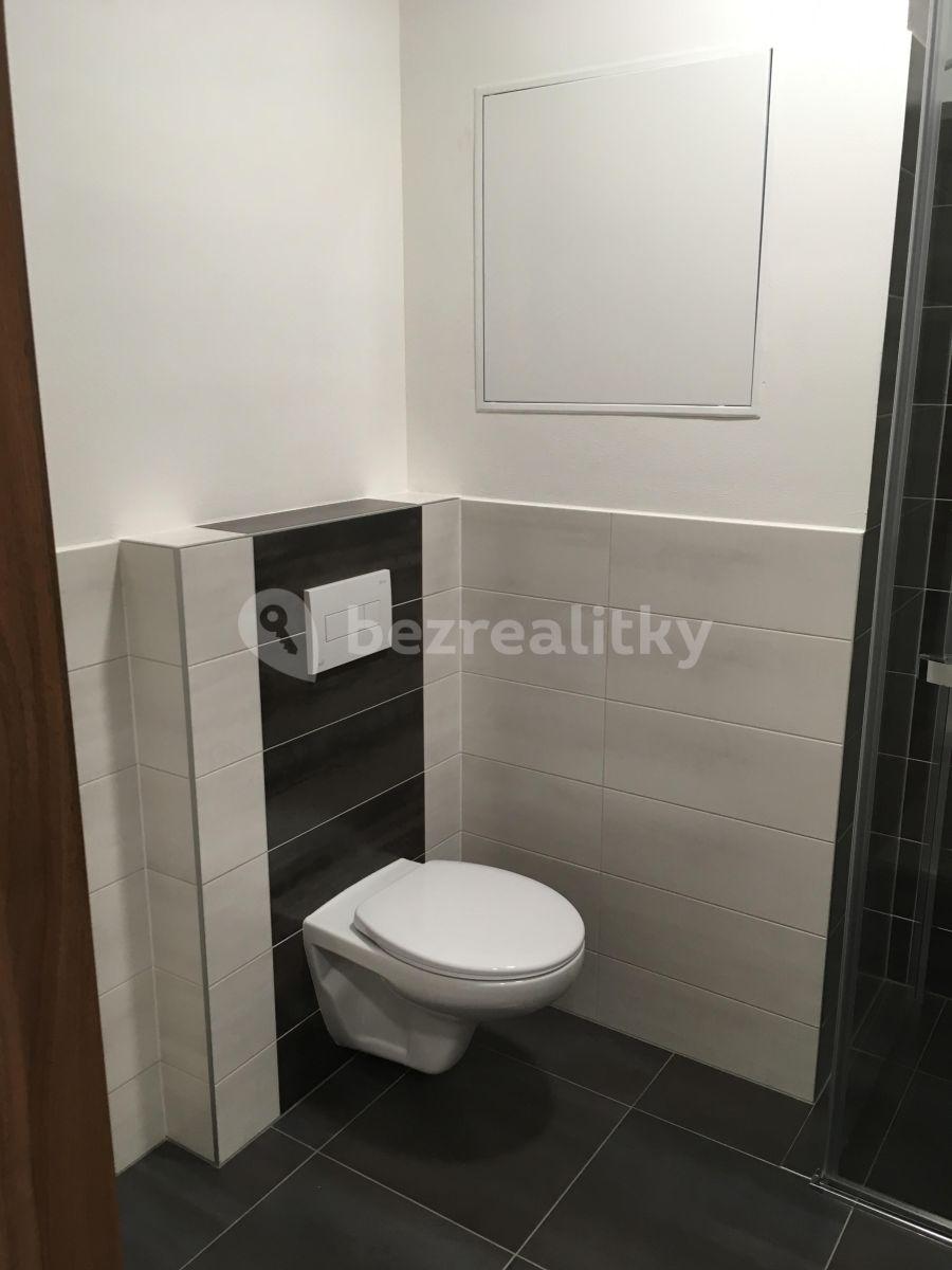 Pronájem bytu 1+kk 30 m², Topolová, Olomouc, Olomoucký kraj