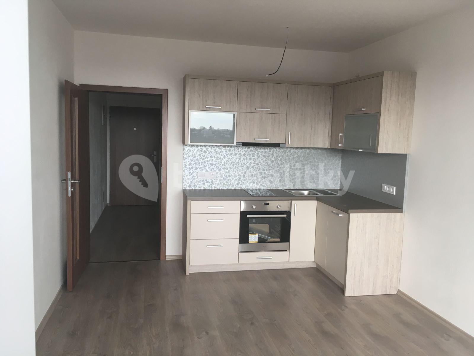 Pronájem bytu 1+kk 30 m², Topolová, Olomouc, Olomoucký kraj