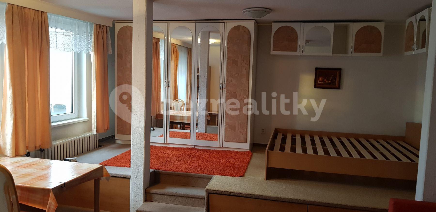 Pronájem bytu 1+1 55 m², Karlovo Náměstí, Praha, Praha