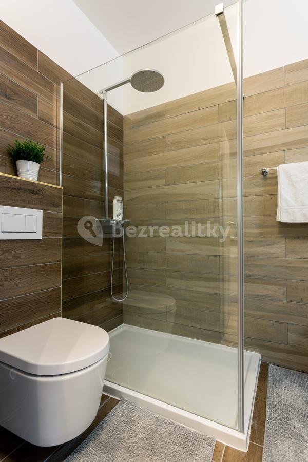 Pronájem bytu 1+kk 22 m², Bozděchova, Praha, Praha